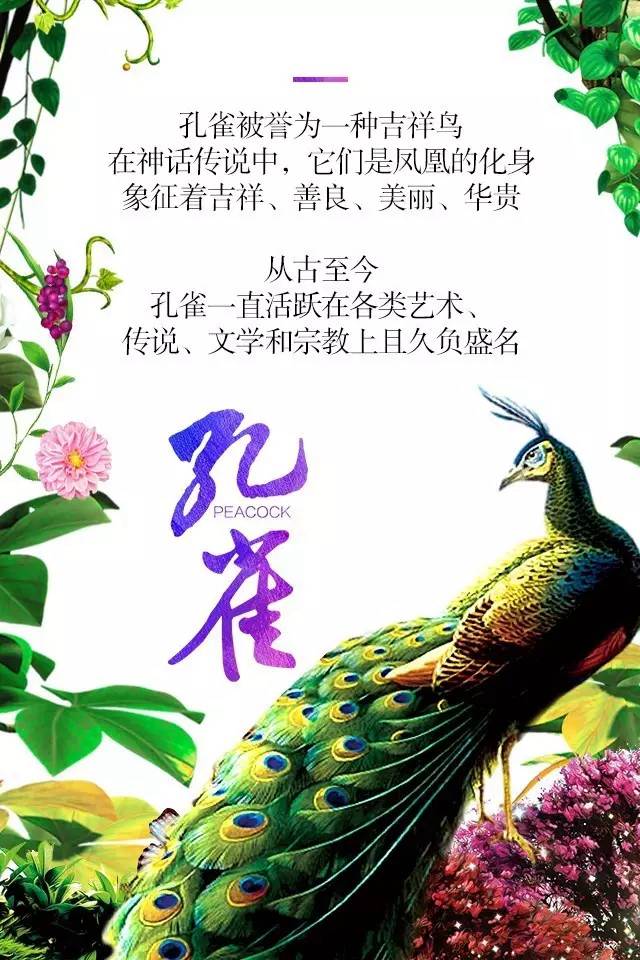 【915-918邵陽(yáng)秋季車展】鳳臨枝頭，雀雀雀雀雀實(shí)驚艷！