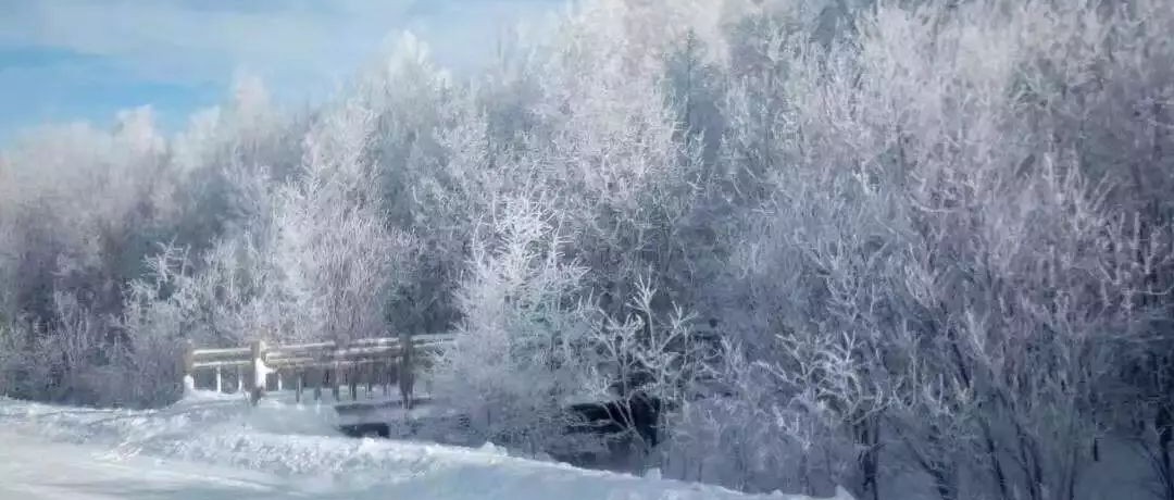 奕行記|奕路向北，駛向雪國阿爾山